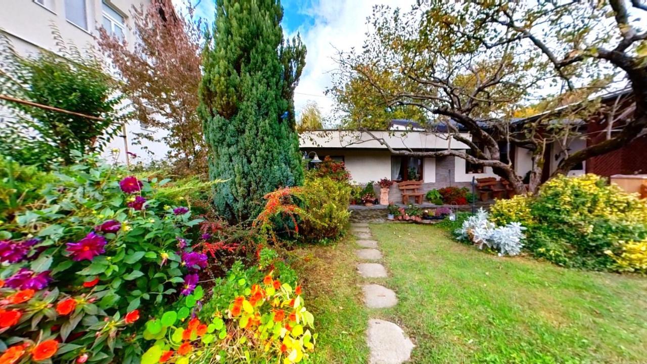 "'Nu Ma Uita" Sovata Villa Kültér fotó