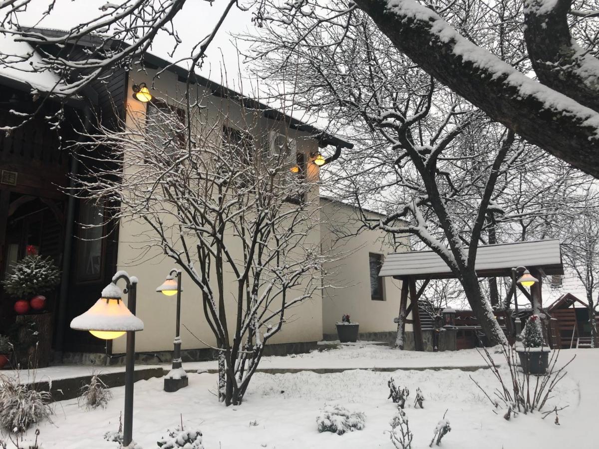 "'Nu Ma Uita" Sovata Villa Kültér fotó